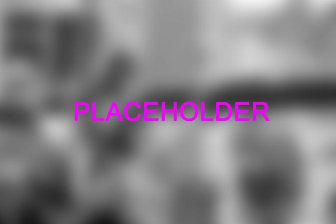 This image is placeholer. Grey background, purple text that says 'placeholder'