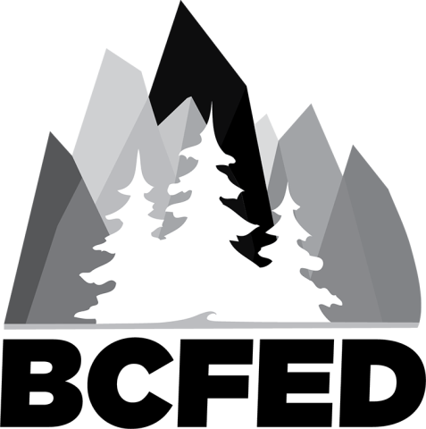 Alternate logo grey