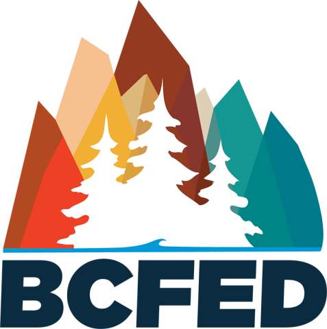 BCFed multicolour logo